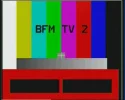 BFM 8w.webp
