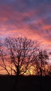 Jan sunrise1.webp Jan sunrise1.webp