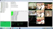 Canale 60_61_62.webp