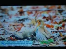 DSCN5447.webp