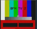 BFM 8w.webp