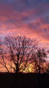 Jan sunrise1.webp Jan sunrise1.webp