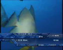 Diver.webp