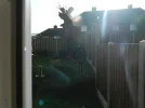 DSCN5577.webp