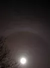 Ice Halo.webp Ice Halo.webp