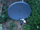 60cm Astra 1 Astra 2.webp 60cm Astra 1 Astra 2.webp