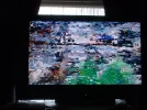 DSCF0140.webp