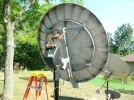 Sat Prod 1.8 Reflector on frame back.webp
