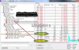 2048 video pid encoded-12463 V-100.5E.webp