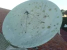 olddish.webp olddish.webp
