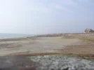 P1010050.webp
