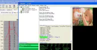 Working again.webp
