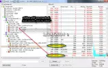 2048 video pid encoded-12463 V-100.5E.webp