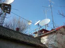 P1020137.webp