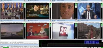 plp 3.webp
