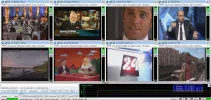 plp 3.webp