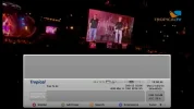 screenie.webp