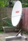 DishFace_02.webp