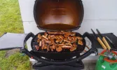 IMAG0235.webp