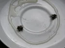 Bees6.webp