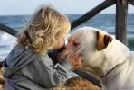 dogkids7.webp