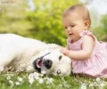 dogkids4.webp