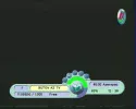 image4.webp