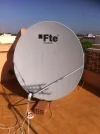 FTE1.webp