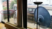 IMG_20140817_121922 (Large).webp