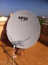 FTE1.webp
