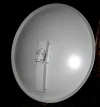 dish.webp