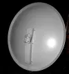 dish.webp