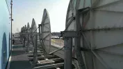 IMAG0491h.webp