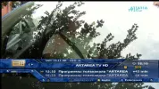 Artarea TV.webp