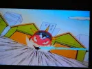 DSCN6078.webp