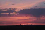 841782420.webp