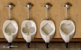 loo2.webp