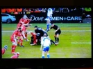 DSCN6617.webp