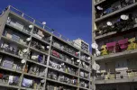 Marseillesdish1.webp