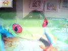 Frog_prince.webp