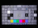 11006V 003.webp