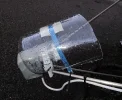 rain1.webp