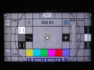 11006V 003.webp