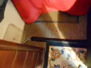 DSCN0619.webp