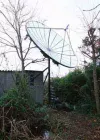 dish5.webp