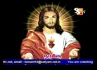SS TV.webp