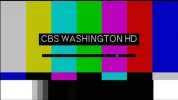 TC (81).webp