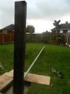 DSCN7055.webp