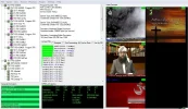venus1.webp