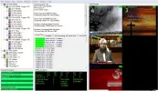 venus1.webp